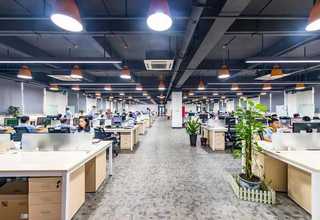 上海LED水果提鲜灯哪家好