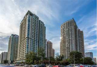 安徽物流托盘模具制造商