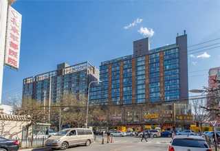 富阳区盆栽植物租赁报价单