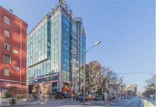 金山区茶叶宣传海报单页工厂